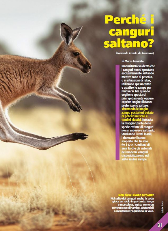 Foc Wil - Mar 2024 (6)