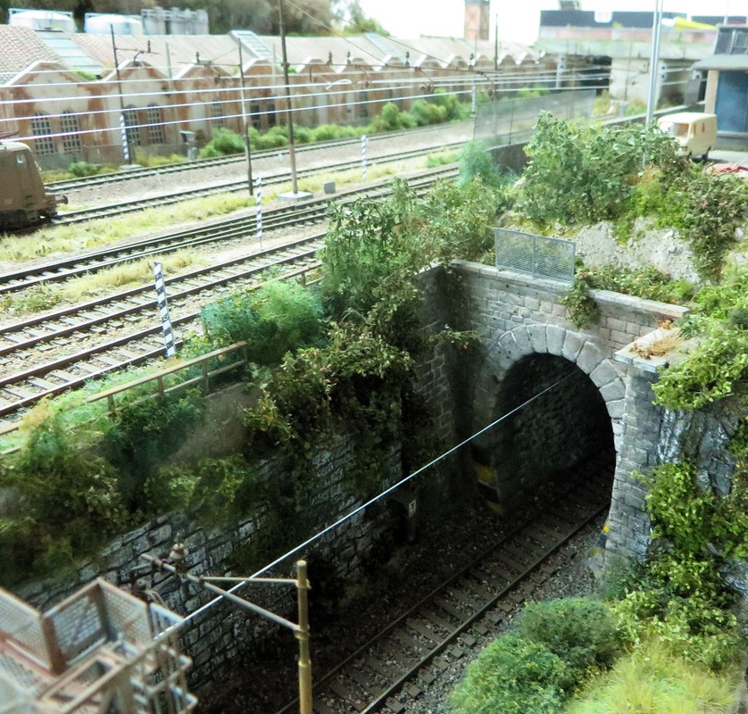 Boscoscuro 19092023 (12)