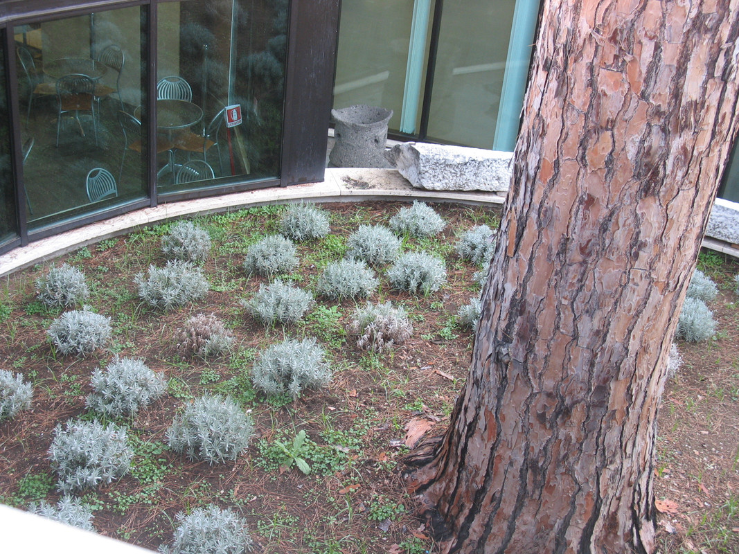 август - италия 207 (4)