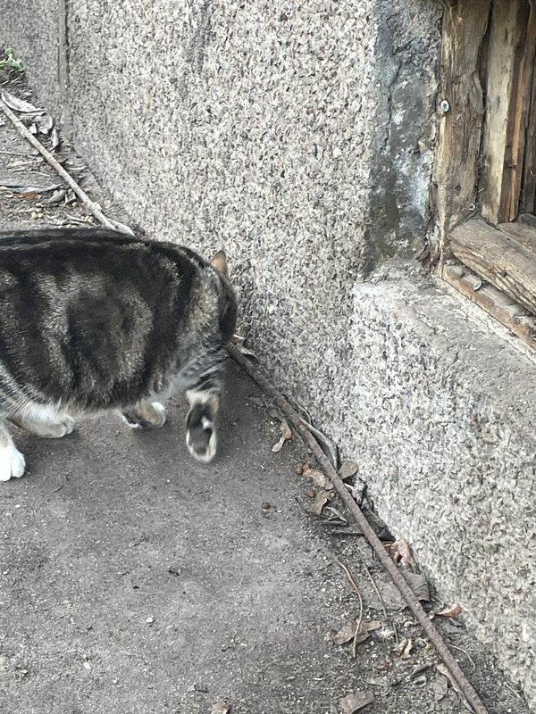 279D975C-B615-42C0-858F-815AF7752E50