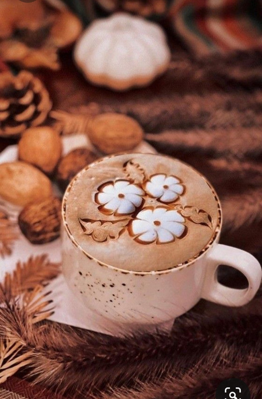 Screenshot_20231008_223138_Pinterest