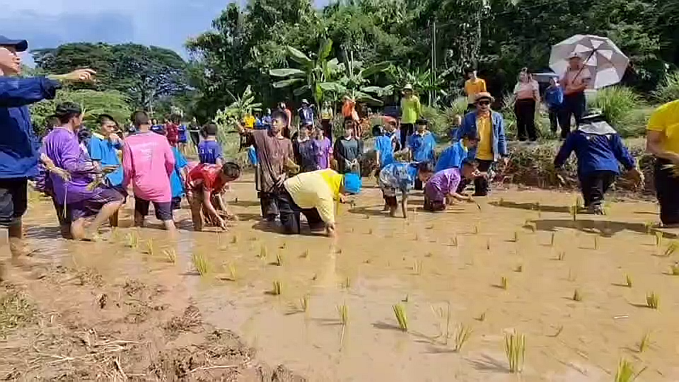 vlcsnap-2025-08-26-15h20m41s731