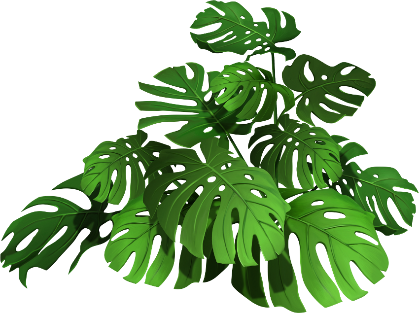 Into The Jungle (126)