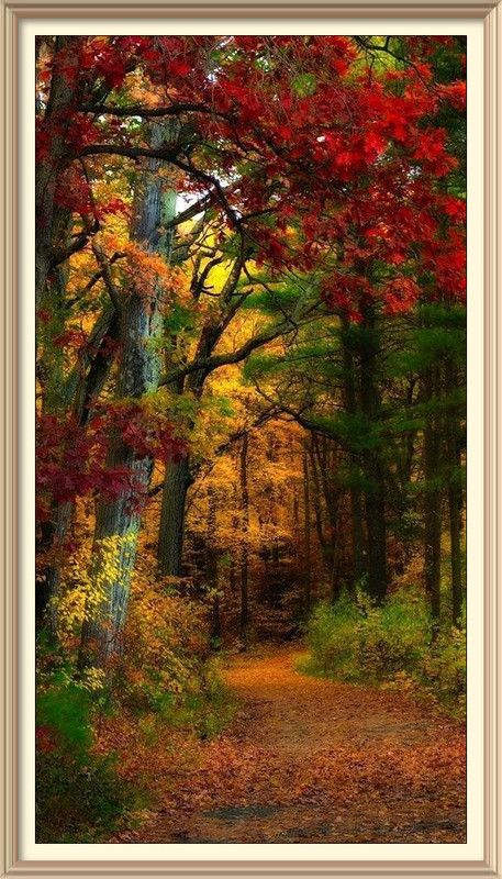 imageedit-5-2435350541