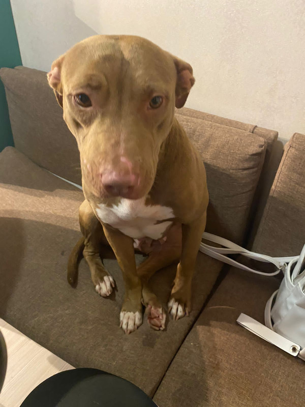 C840B585-CB55-4B33-BFF2-7AEB7E3B99BF