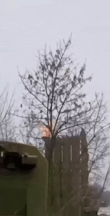 https://i.postimg.cc/xdKbXc3P/video-2026-05-31-04-59-26-(1).gif
