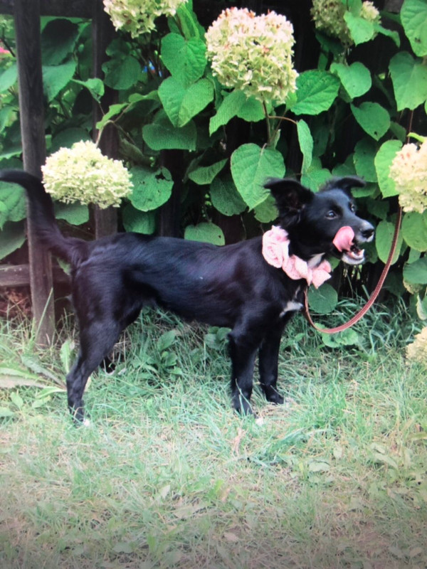 9E728DB8-2A5C-47ED-82EC-78AE18A72F50