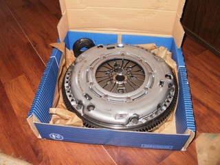 P5300293