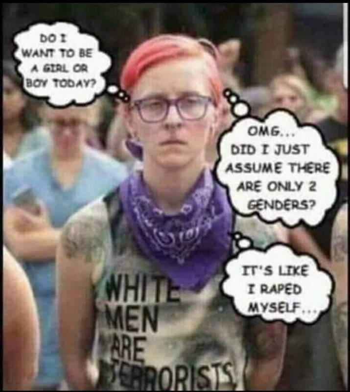 There is only two genders meme. Гендеры. There are more than two genders. There is only two genders. There are more than two.