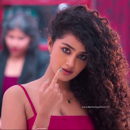 gorgeous-anupama-parameswaran-in-tillu-square-2024