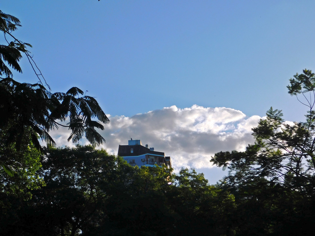 DSCN0317.jpg