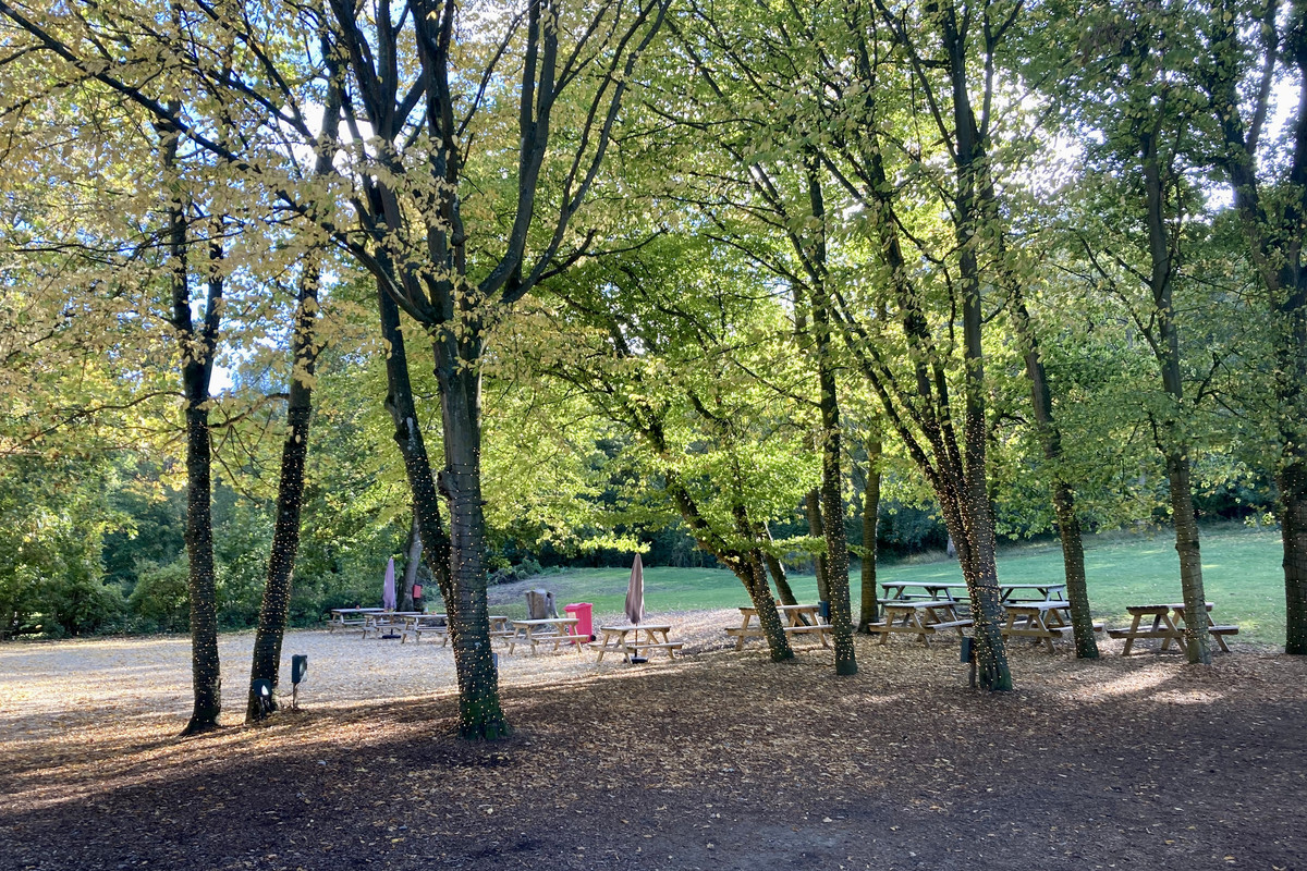 378C972C-B972-4820-BC83-3A5E3C2FBCEC