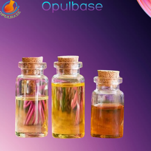 Image Removebg Preview 51