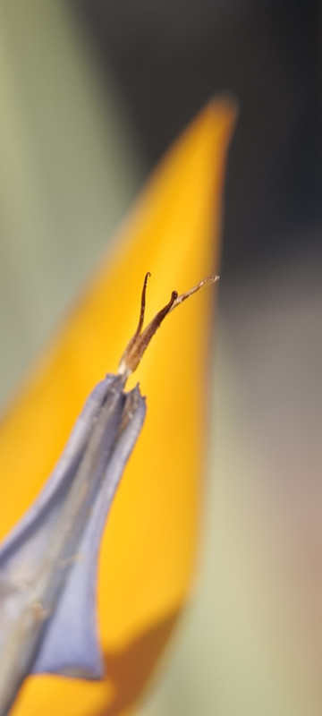 Whats App Image 2025 12 31 at 23 59 00