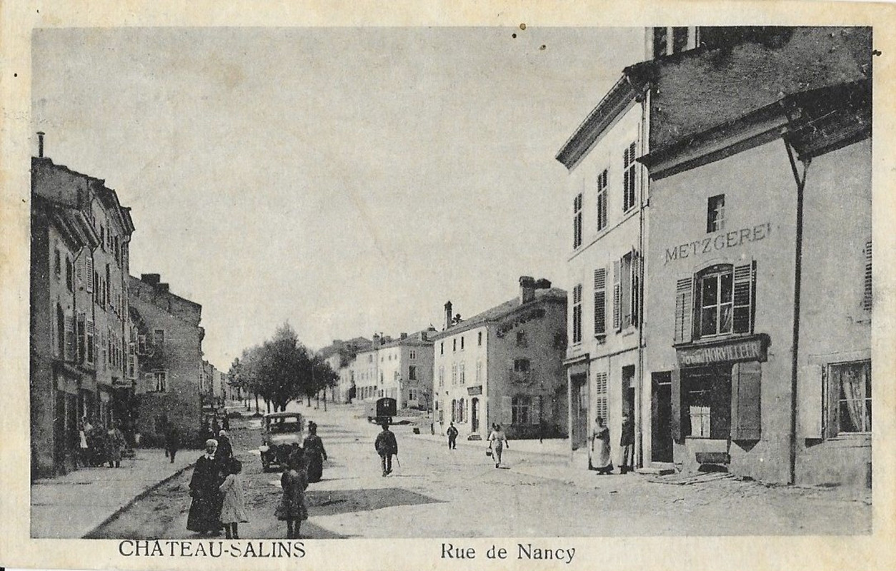 Château Salins (57)