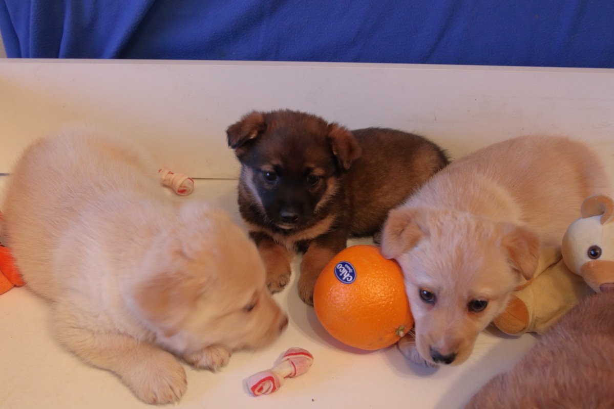 1954169A-3748-4507-A7CA-997E440573AD