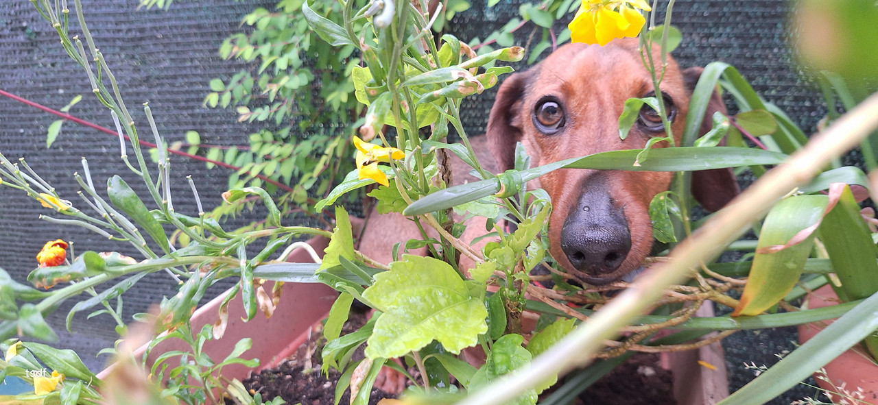 [Image: 20250512-094050.jpg]