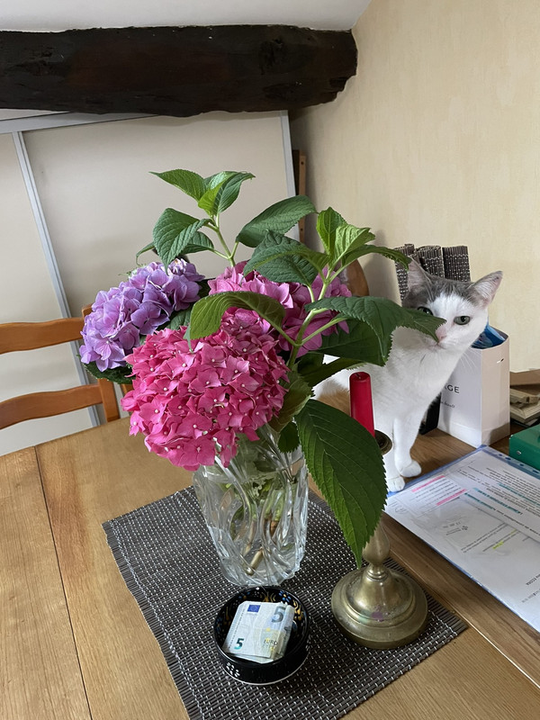 IMG-d54c3569efa80c48737702cead0d3c1c-V