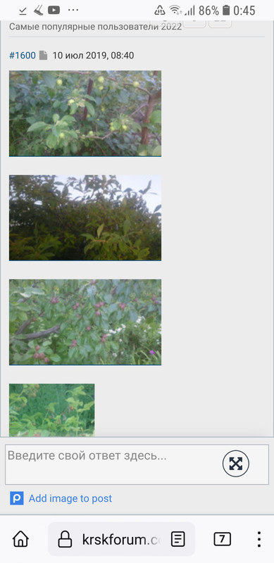 Screenshot_20230311-004547_Firefox