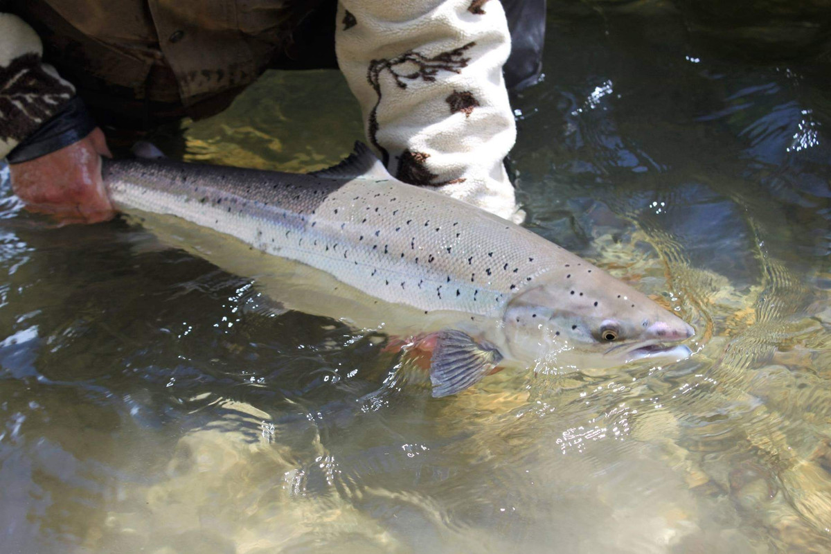 64DEB55E-C079-43BB-B4CA-602FD7805B0E