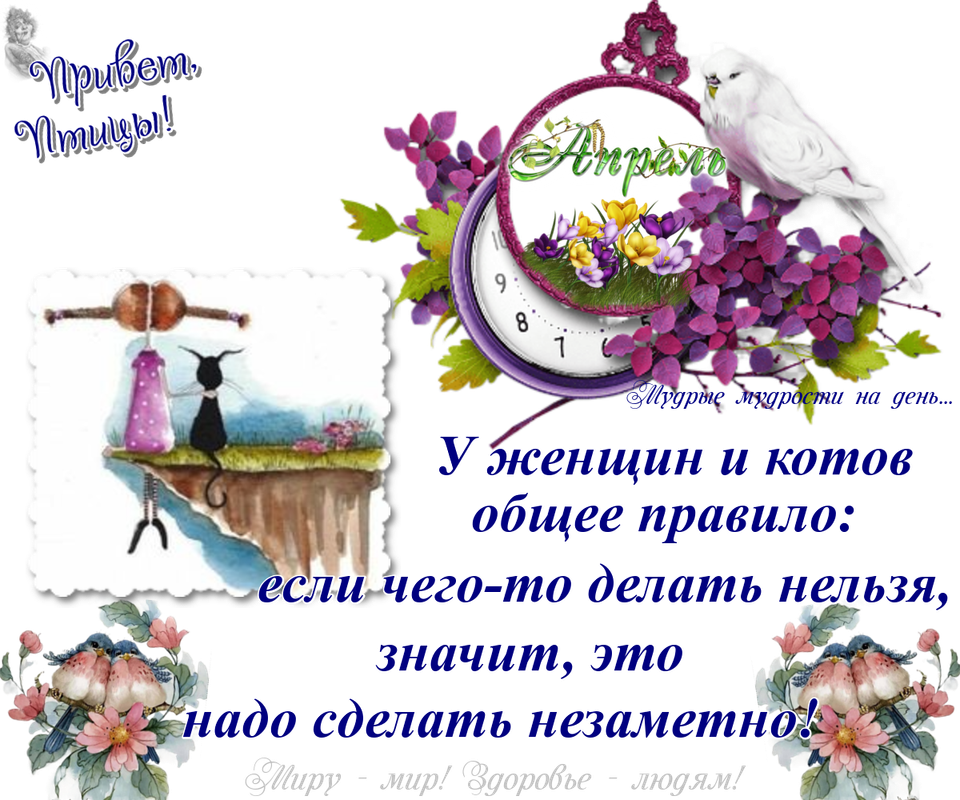 https://i.postimg.cc/xdMzN7F6/14-04.png