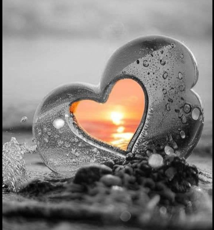 Screenshot_20251004_185025_Pinterest