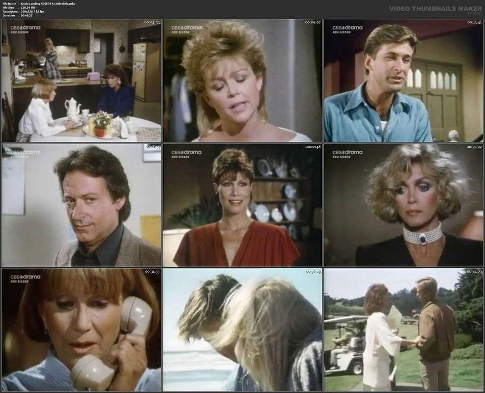 Knots Landing S06E04 A Little Help.mkv