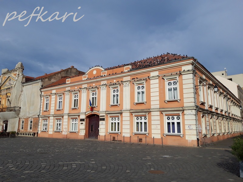 Slika