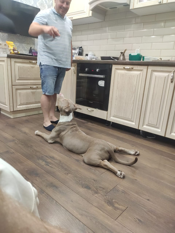 WhatsApp Image 2022-08-31 at 21.07.41 (1)