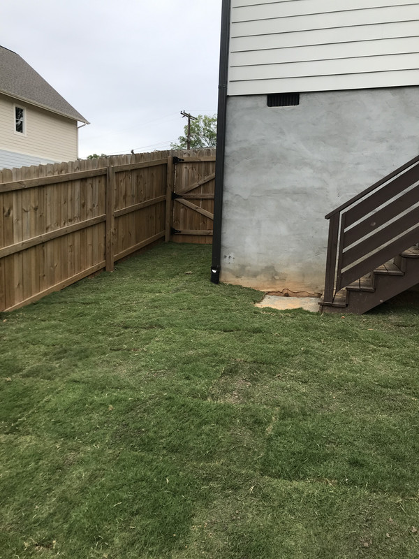 Tiftuf Sod - Not looking great | Lawn Care Forum