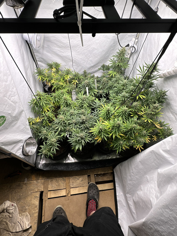 0351E7D4-54E9-42E5-B6E0-CB93CF3A1BA6