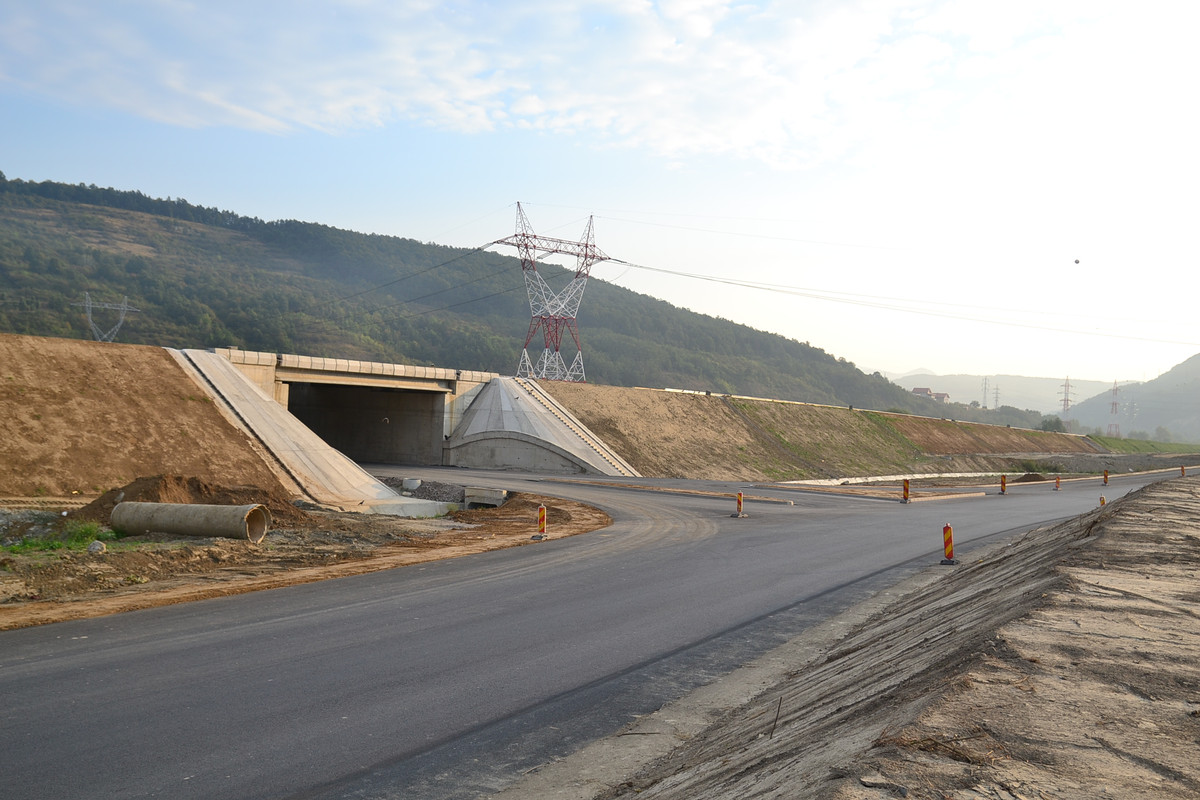 DSC_6969