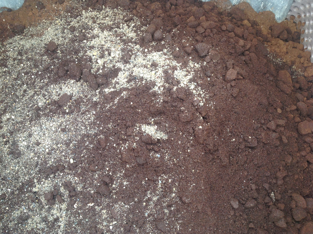 Kaffeesatz Handling 02 (2)