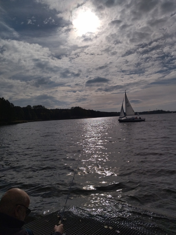 [Obrazek: IMG-20221016-132905.jpg]