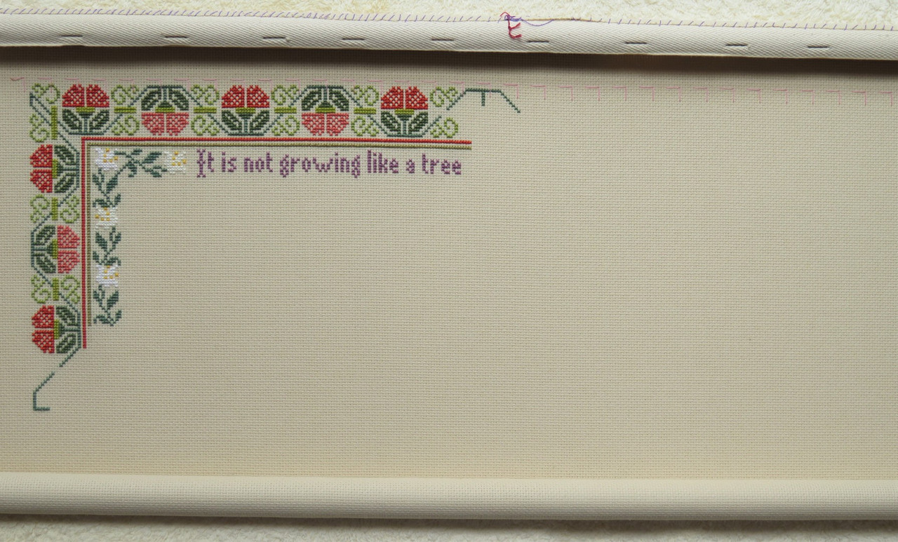 IMG_2939 (3) (Large)