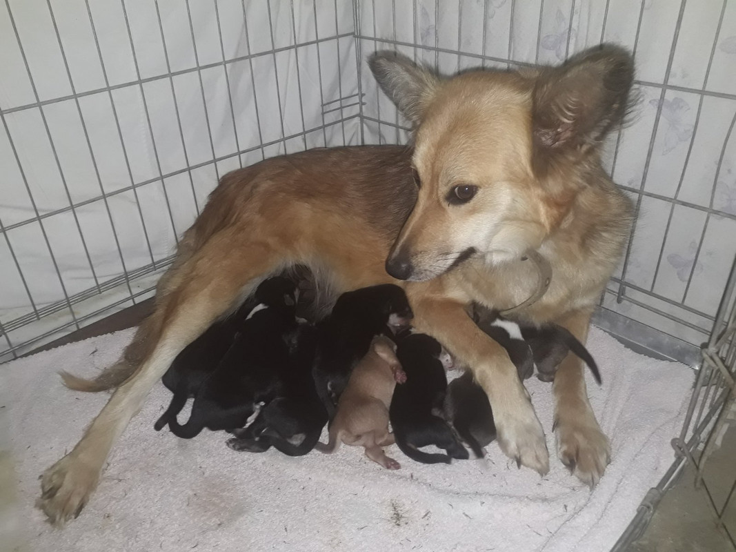 изображение_viber_2021-09-13_02-53-32-350