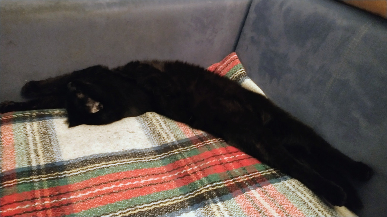 IMG 20251119 162945037 2