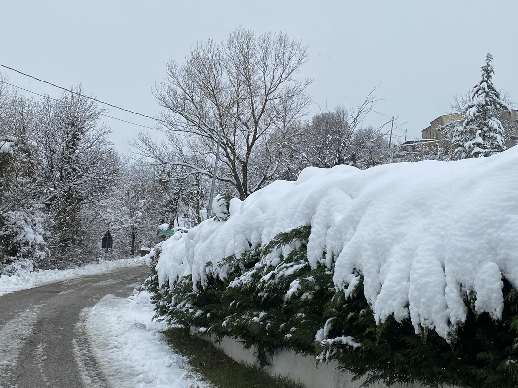 D6C78896-BDF7-4558-BFB8-00D1C2387760