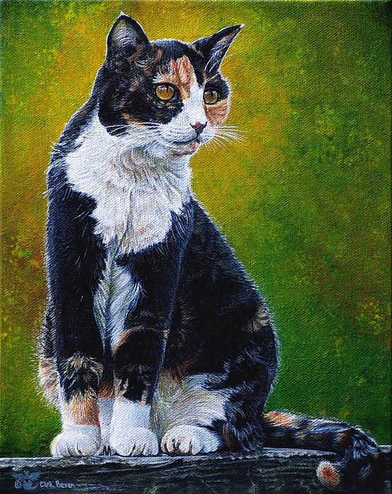 04sassy-cara-bevan-003