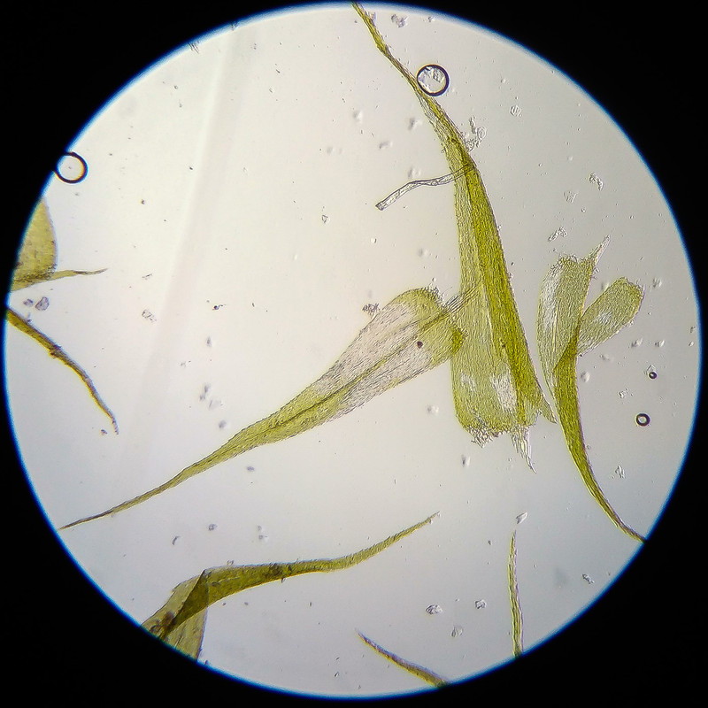 IMG 20250614 122702 HDR