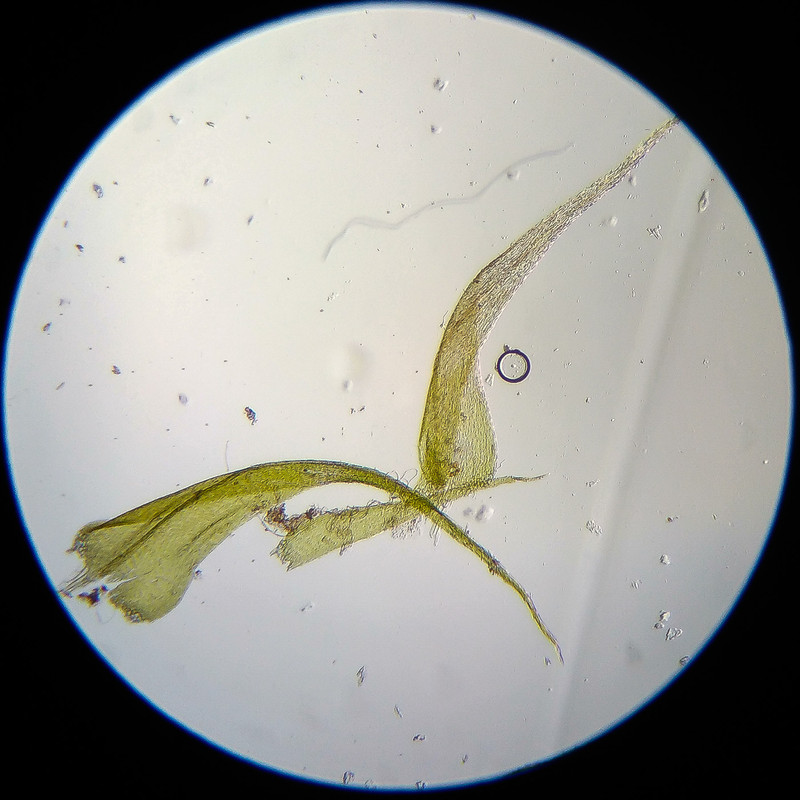 IMG 20250614 122707 HDR