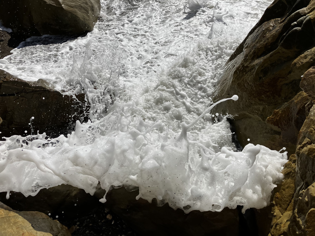 IMG-1929.jpg