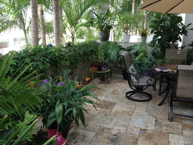 Our Garden 002