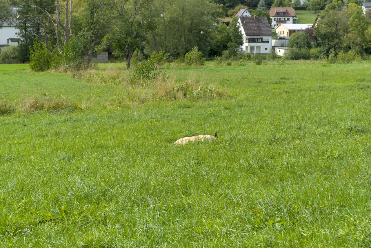 DSC06444