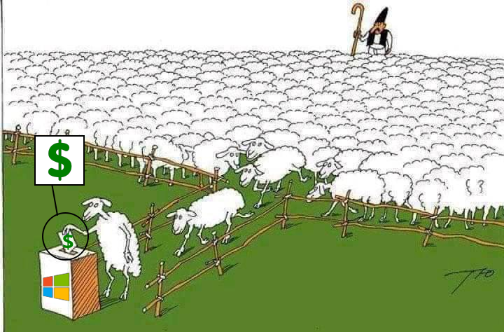 MS-sheep-dollars.png