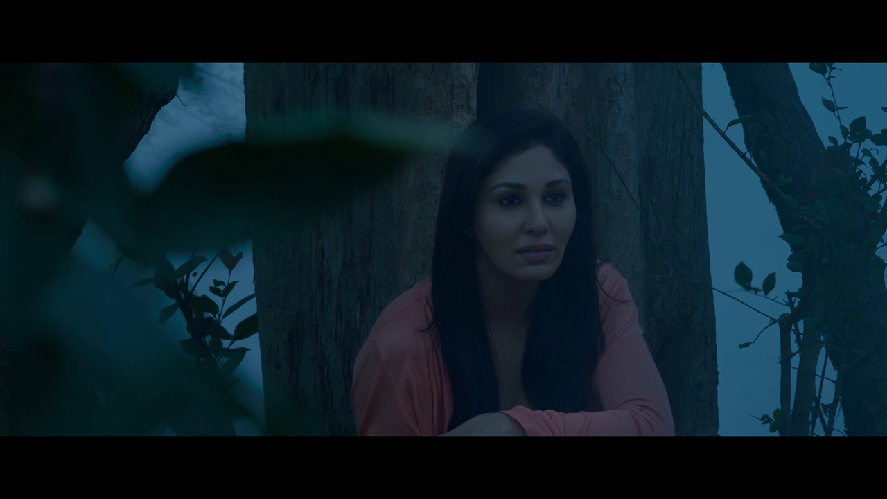 vlcsnap 2026 02 27 19h25m34s132