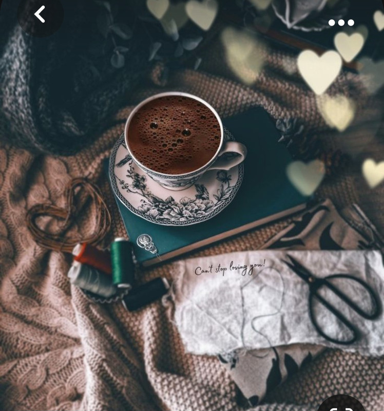 Screenshot_20230930_152936_Pinterest