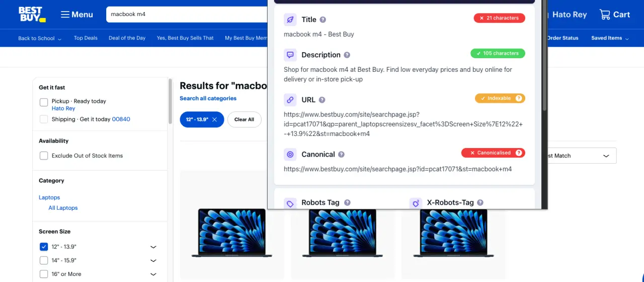 Best Buy search page with faceted filtering canonicalization
