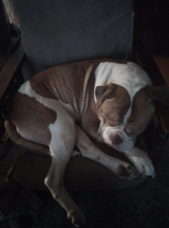 8BFF16DB-7FEA-4E03-AC62-65471499C7A1