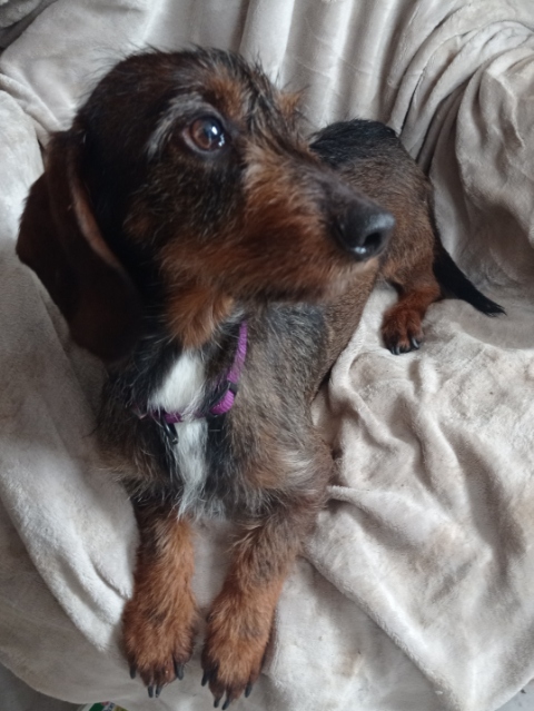 [Image: image000002-26.jpg]